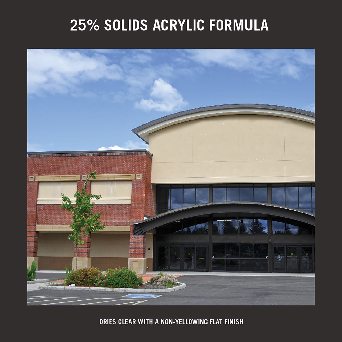 Plugger™ 25 Porous Surface Acrylic Sealer