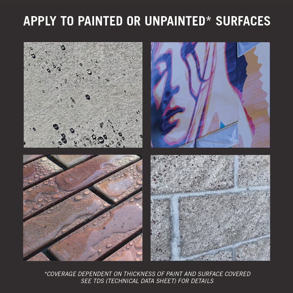 VandlClean Super Graffiti Cleaner