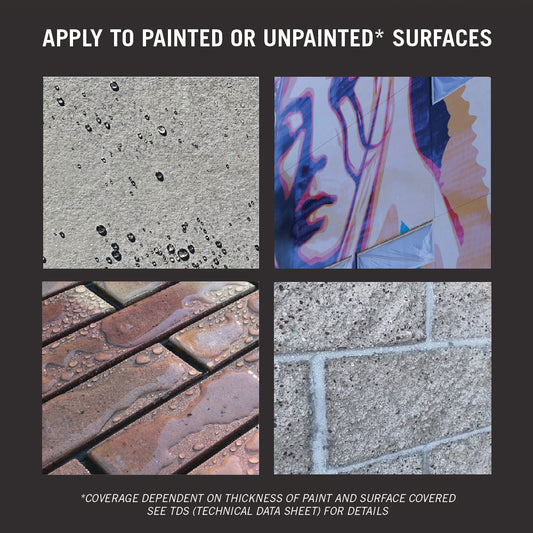 VandlClean Super Graffiti Cleaner