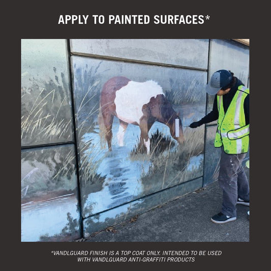 VandlGuard® Finish Coat